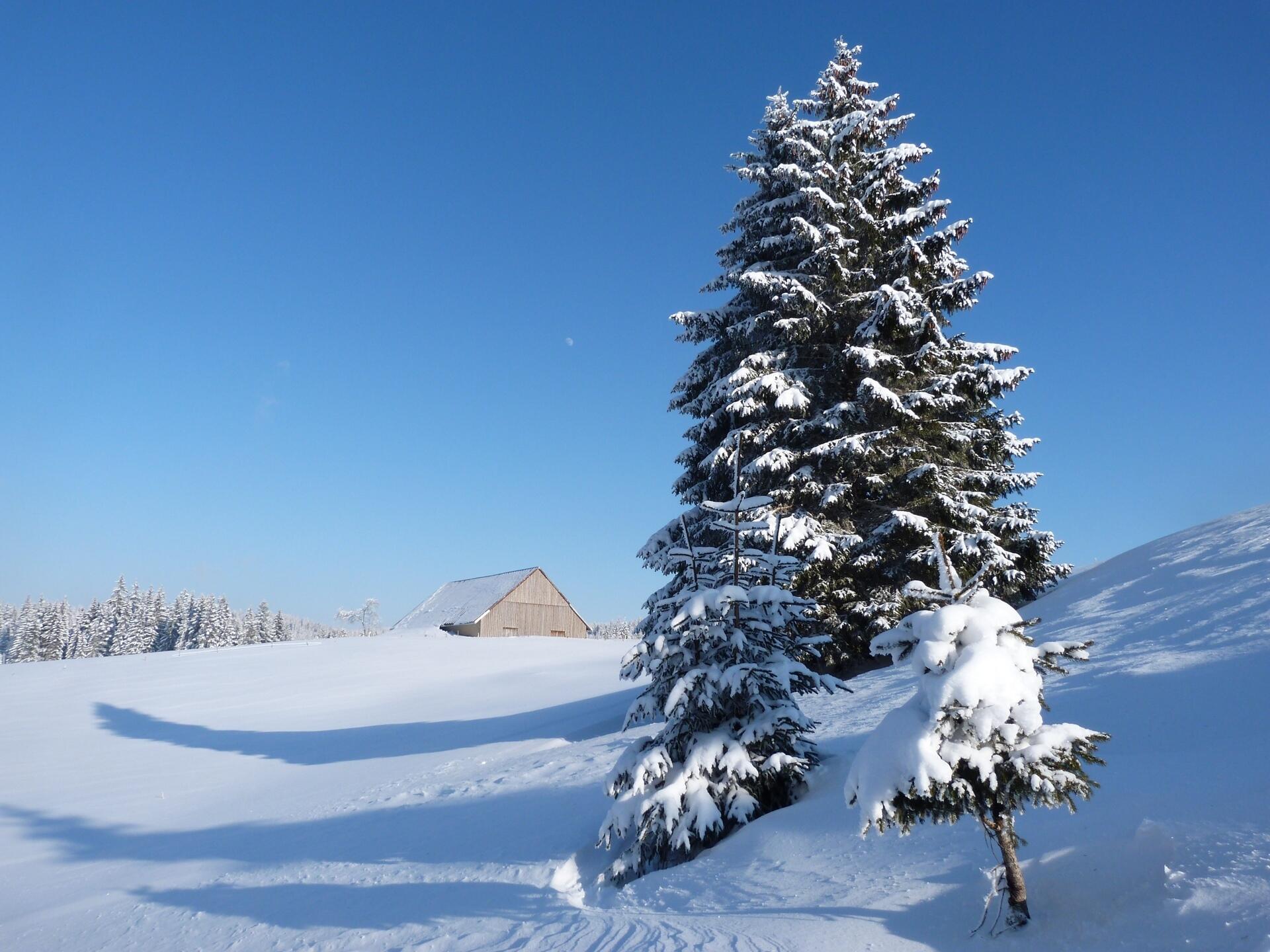 Ferme de la Cernée dans le Val de Mouthe  Ⓒ  Yves Marechal