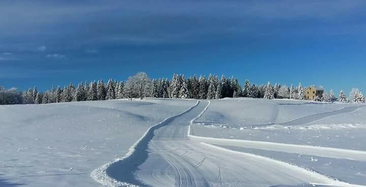 Domaine nordique Longchaumois  Ⓒ  Nadine Prost Romand