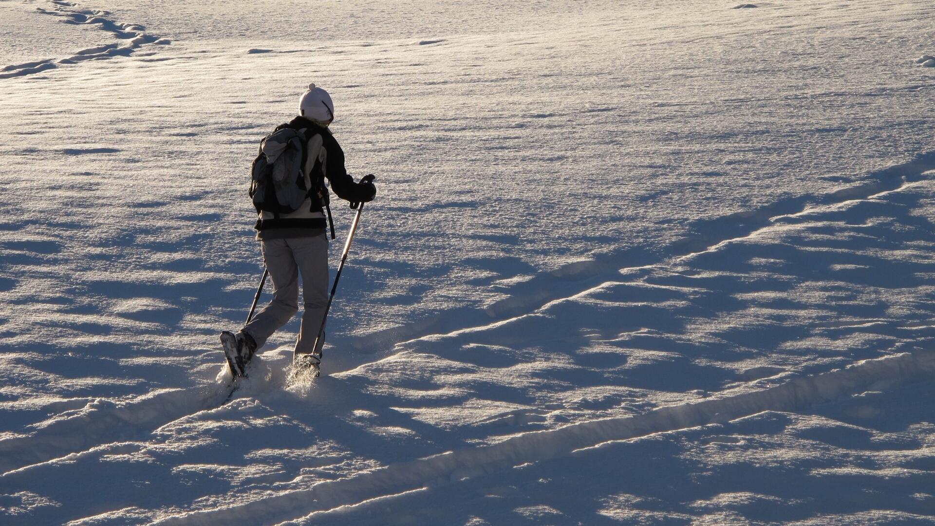 Raquettes dans les Montagnes du Jura   Ⓒ  Yvan-Binot