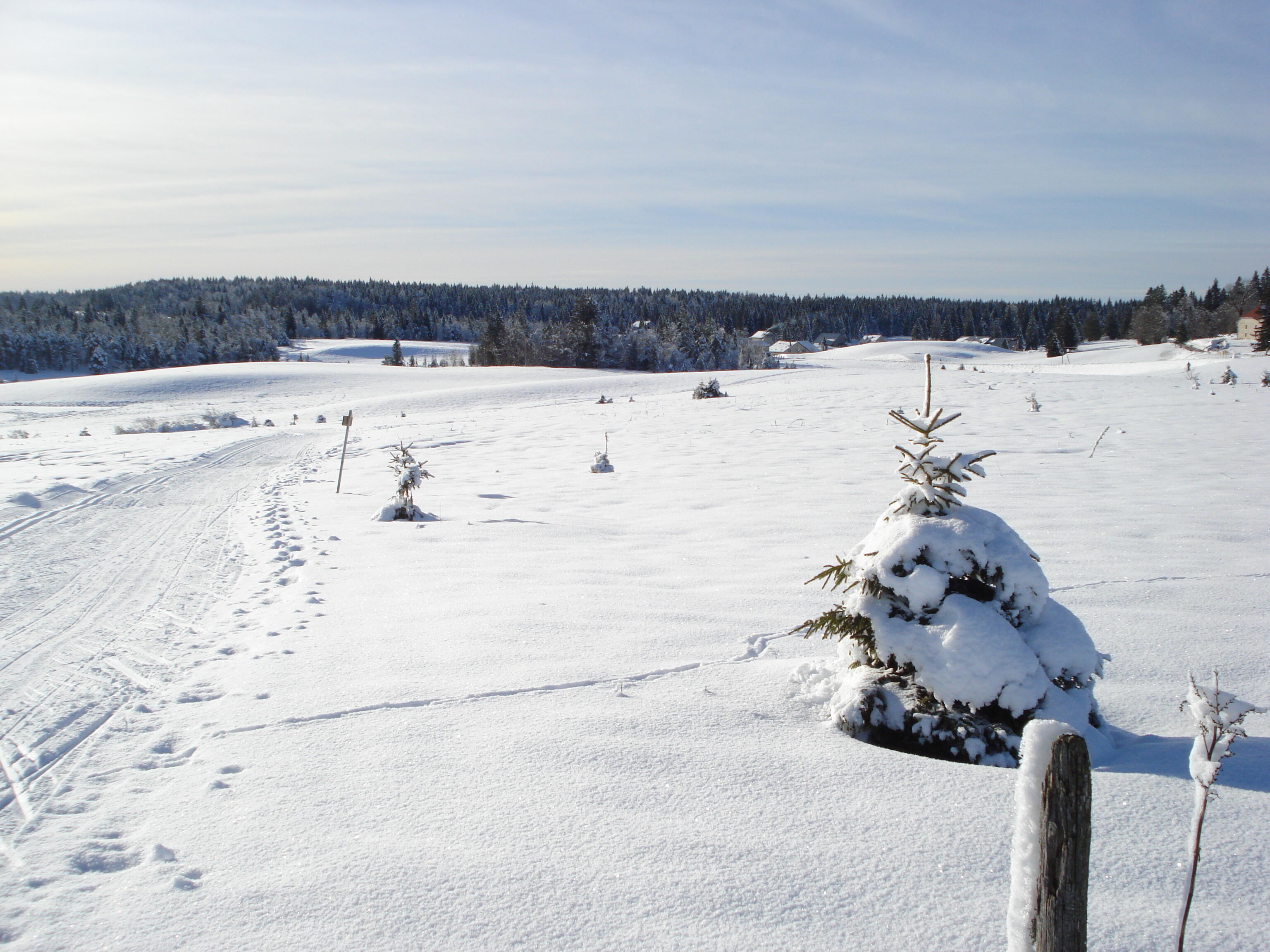 Paysages de Bellefontaine  Ⓒ  ENJ