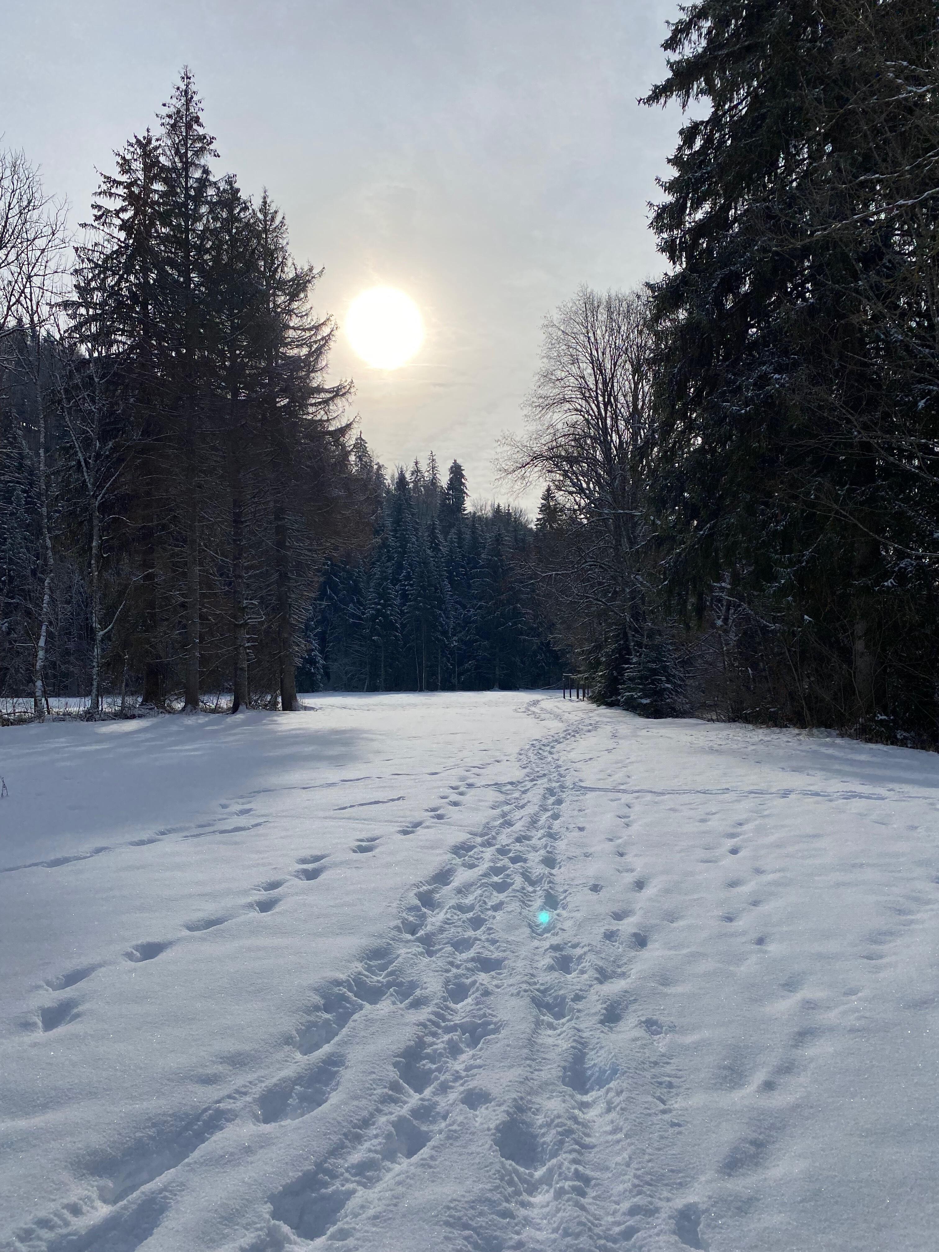 Foncine le Haut  Ⓒ  