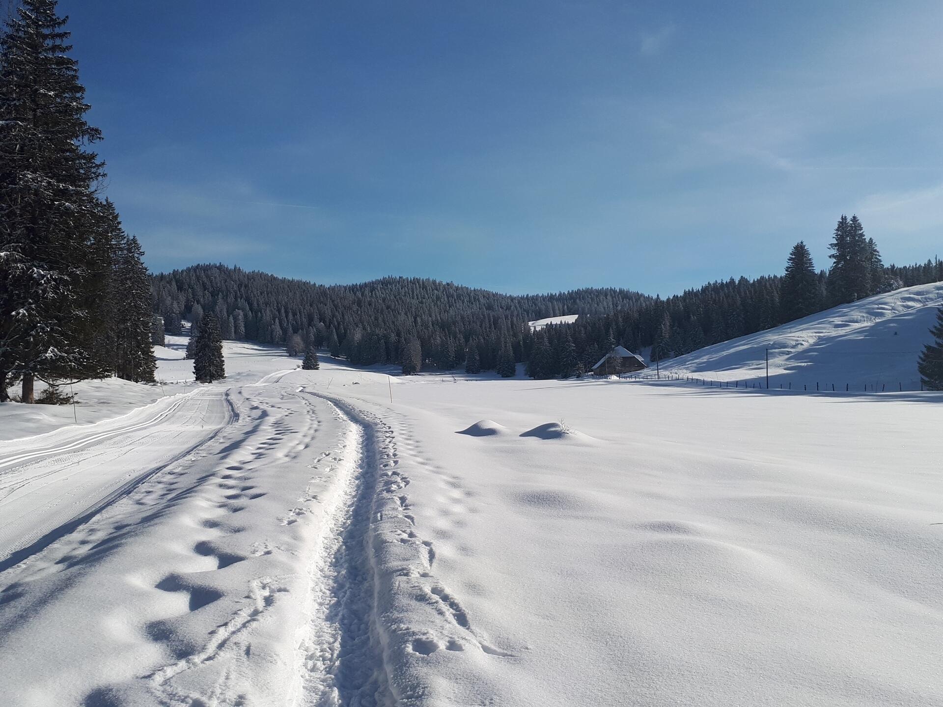 Mouthe Chez Liadet   Ⓒ  Emilie CLERGET