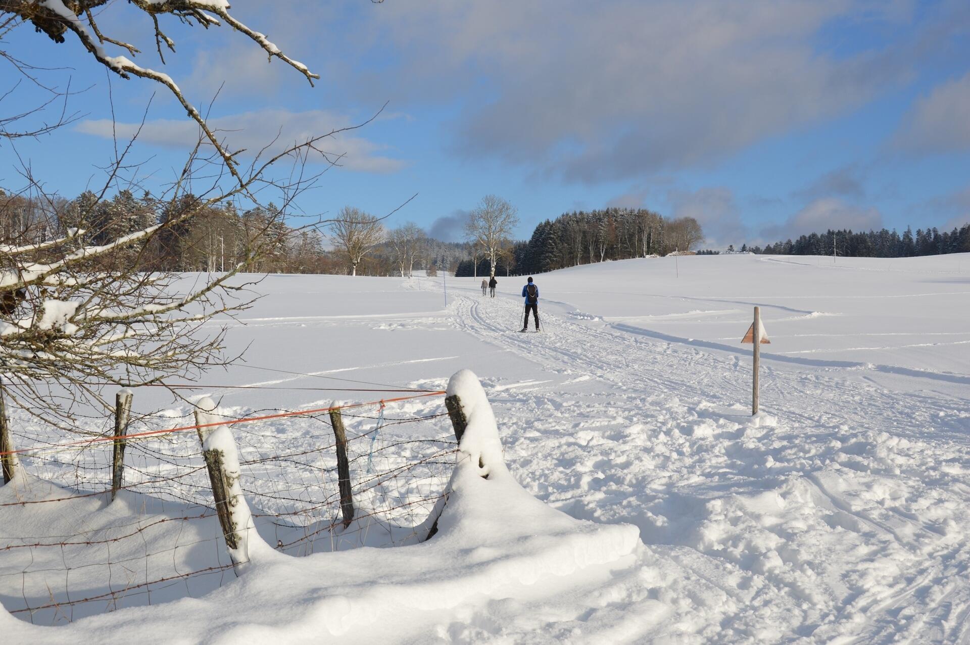 Ski de Fond dans le Val de Morteau  Ⓒ  Frederique Fleury