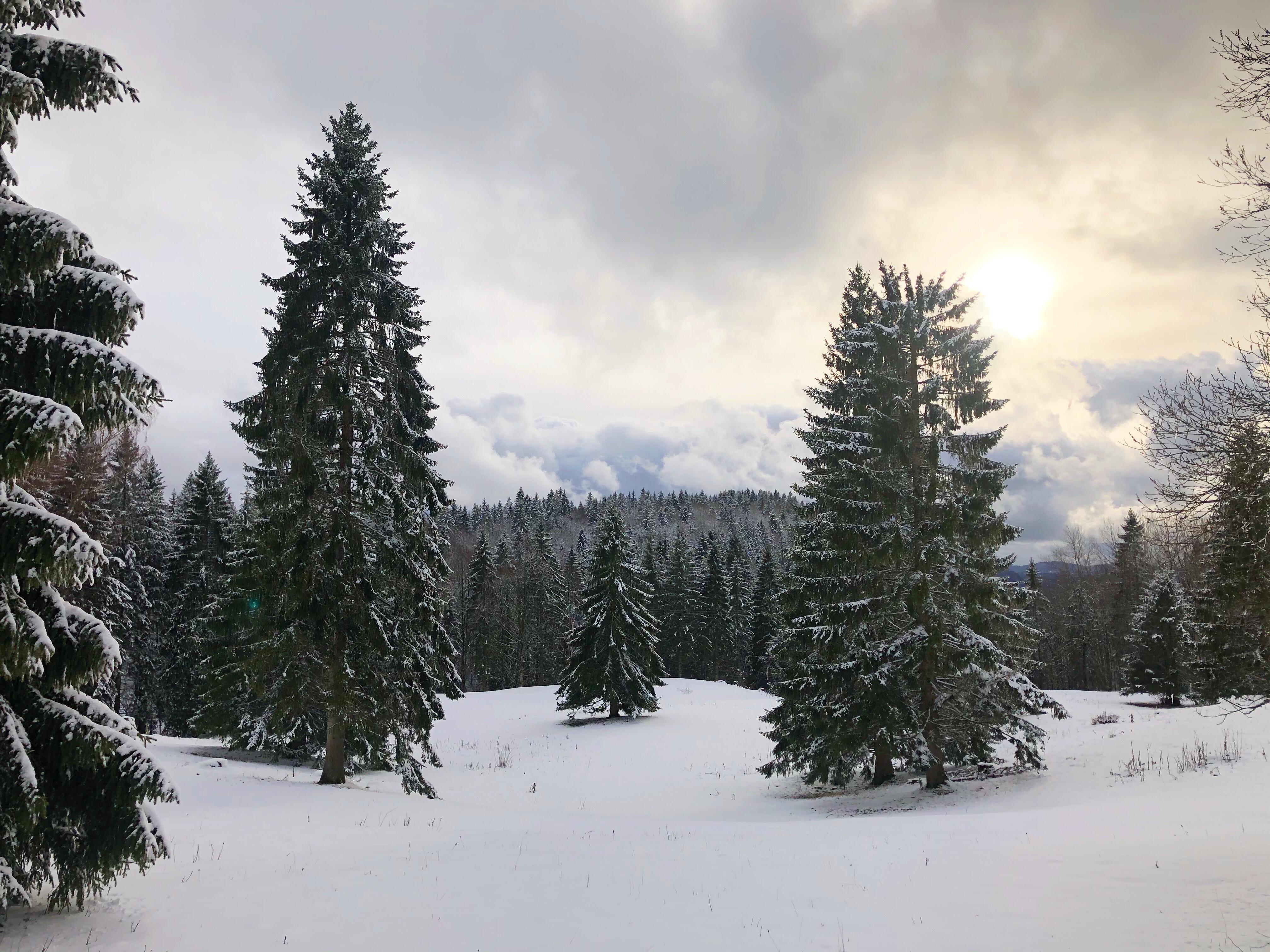 Foncine le Haut  Ⓒ  