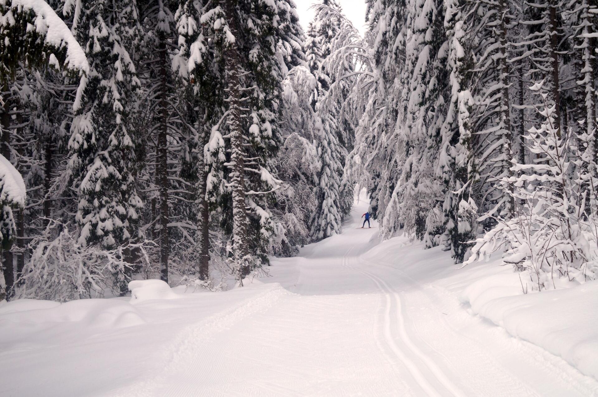 Ski de fond dans le Val de Mouthe  Ⓒ  EliseThouret