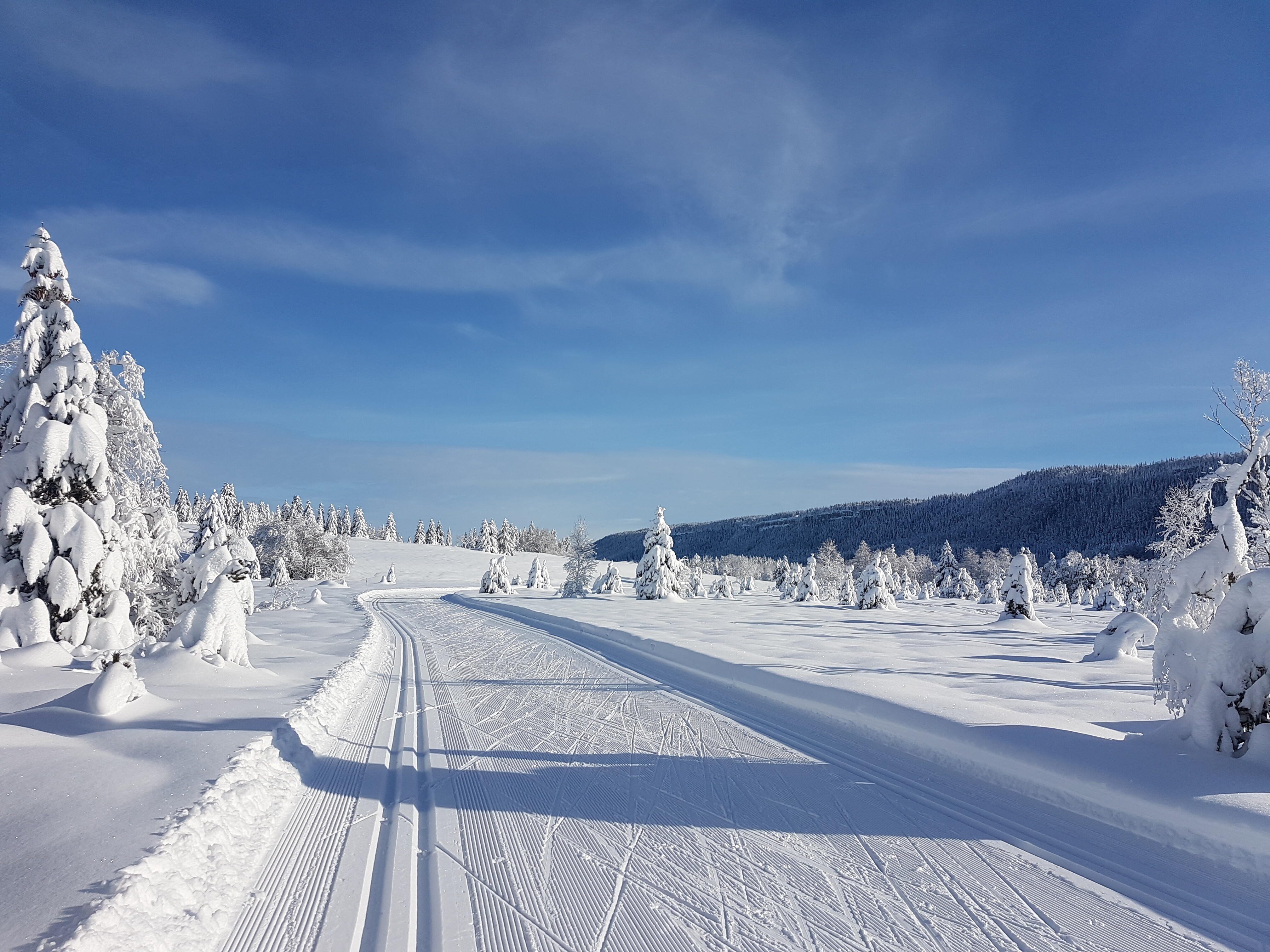 Les tourbières  Ⓒ  Lucie VINCENT