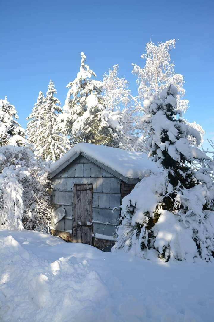 Longchaumois_grenier fort  Ⓒ  Yvette Colin