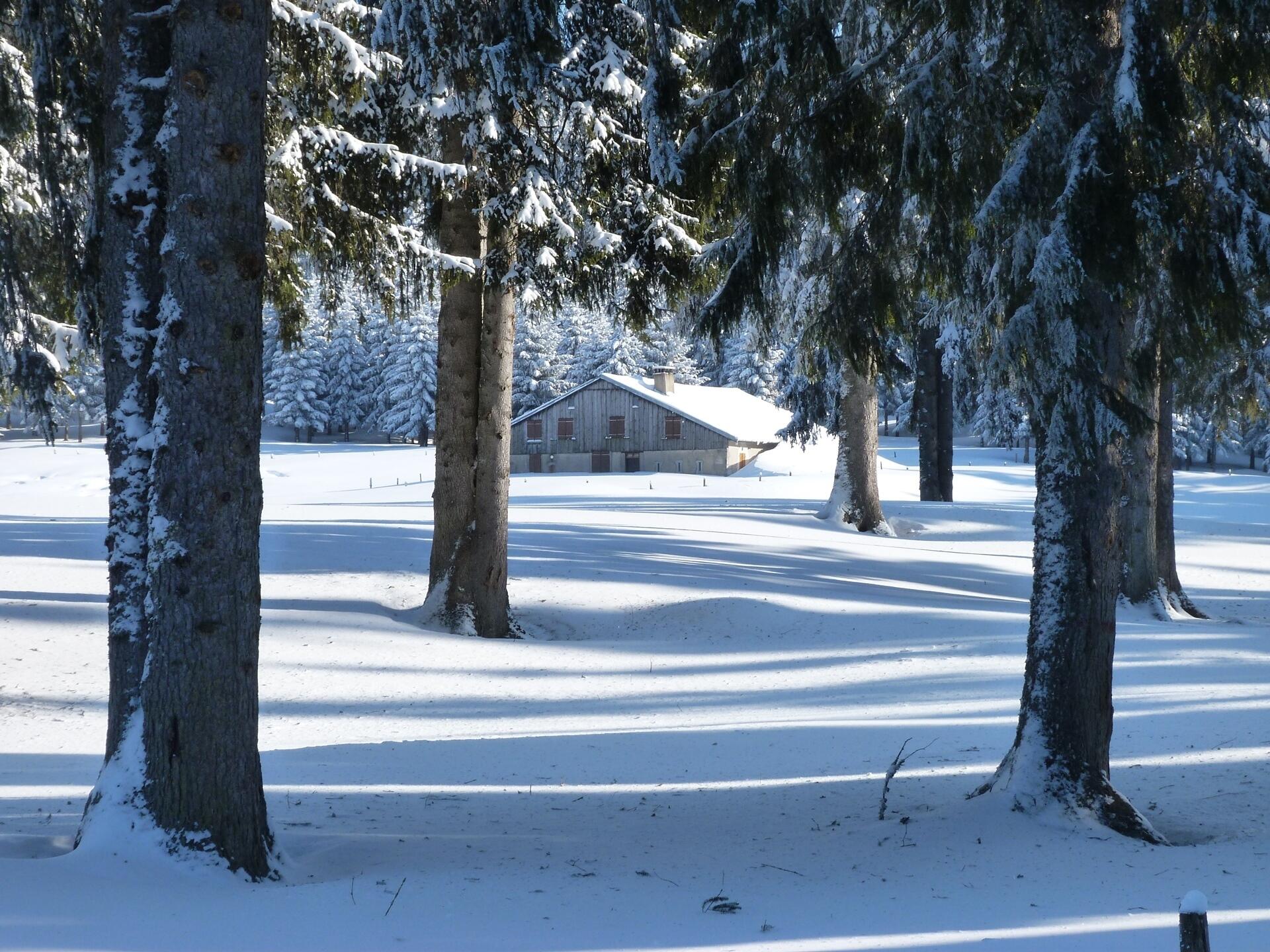 Ferme d'alpage en hiver  Ⓒ  Yves Marechal