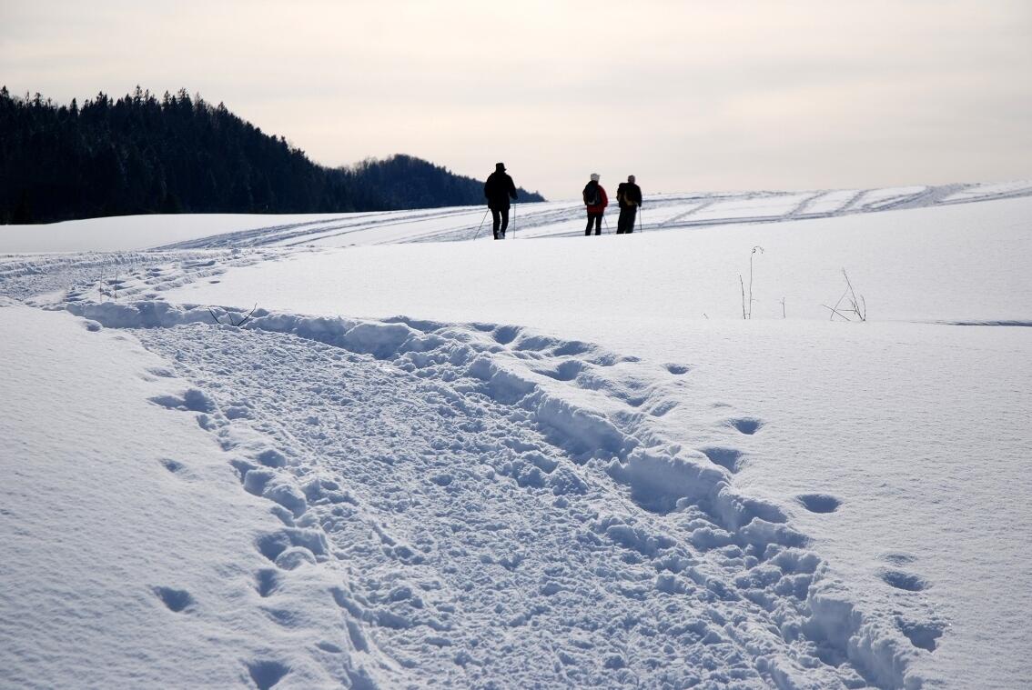 Nanchez dans les Montagnes du Jura  Ⓒ  ENJ