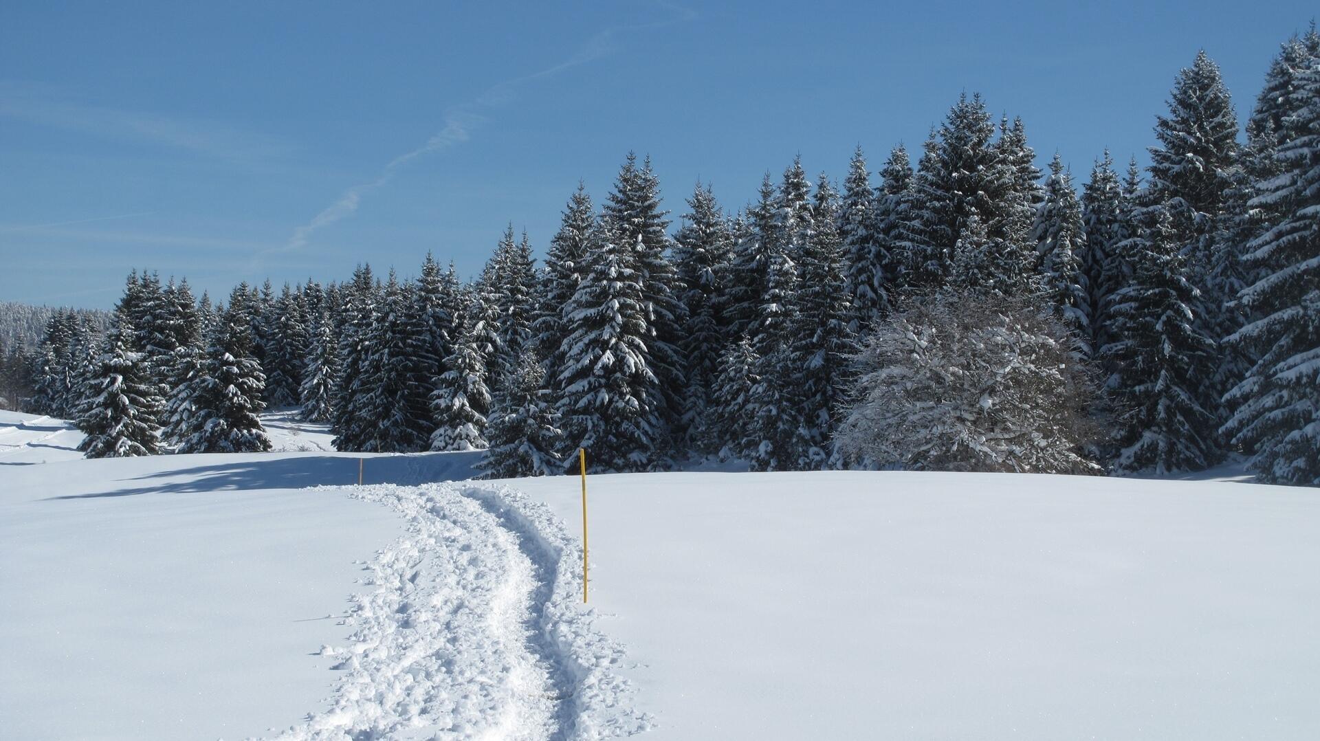 Paysages enneigés du Grandvaux  Ⓒ  Ot Haut Jura Grandvaux