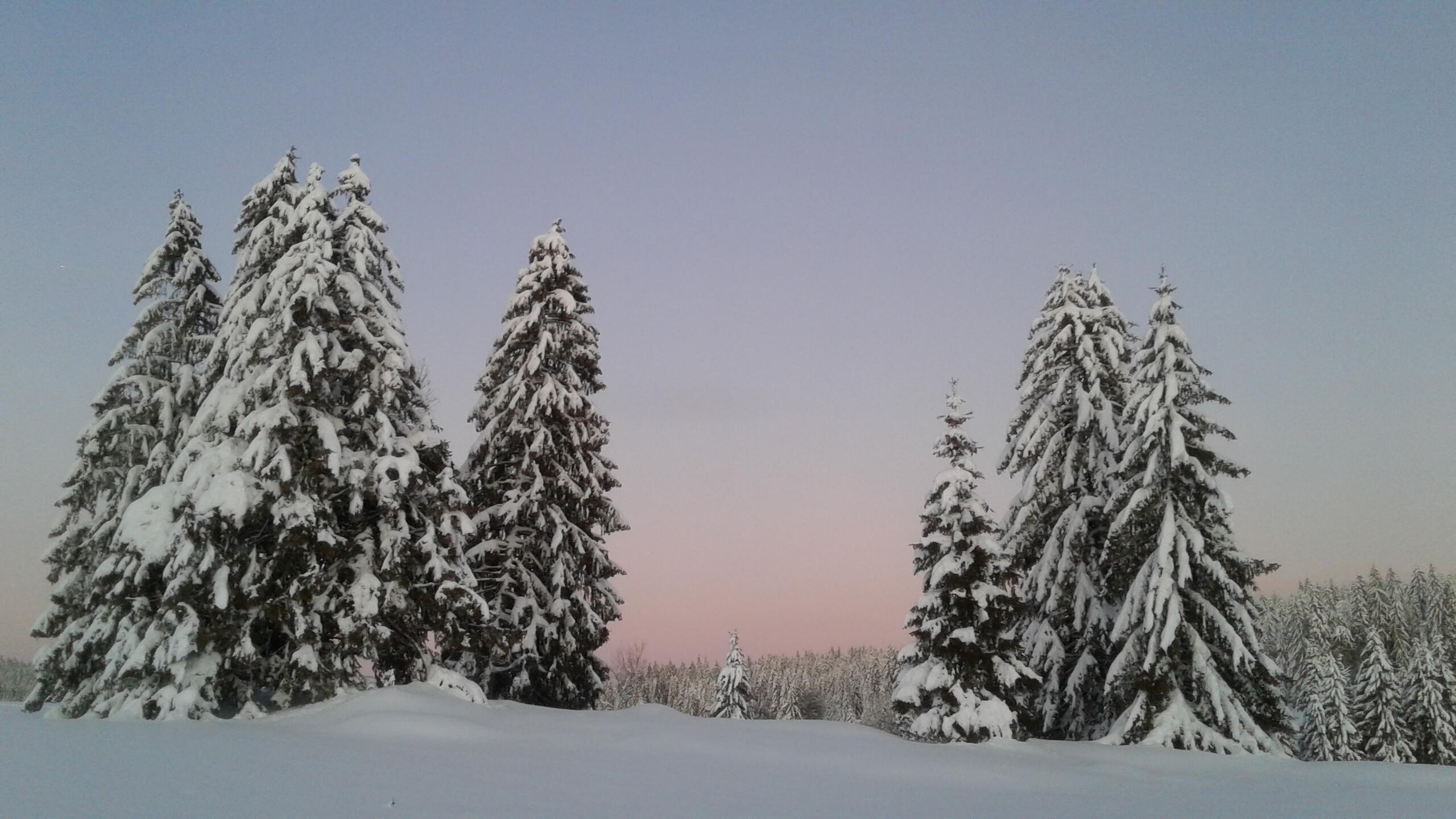 Longchaumois_Le poteau (20)  Ⓒ  OT Haut Jura Arcade