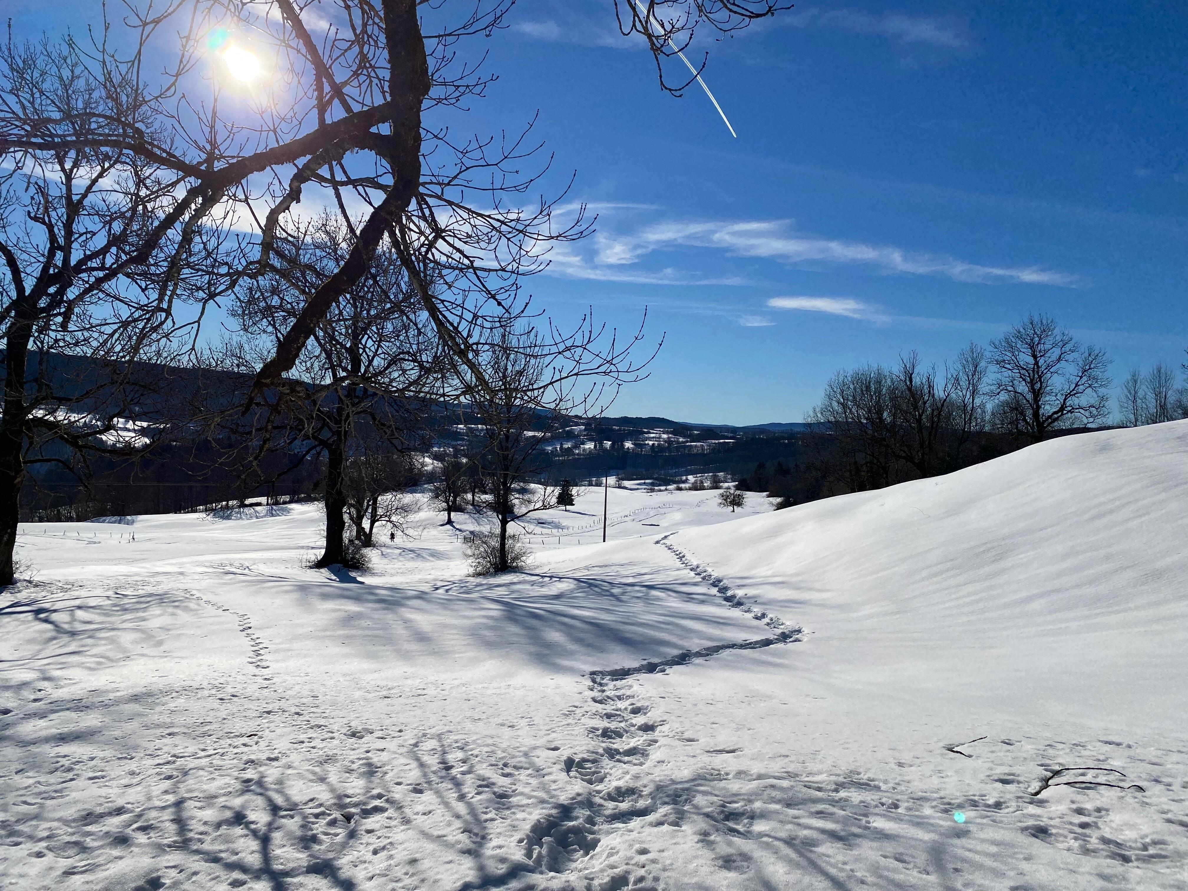 Foncine le Haut  Ⓒ  