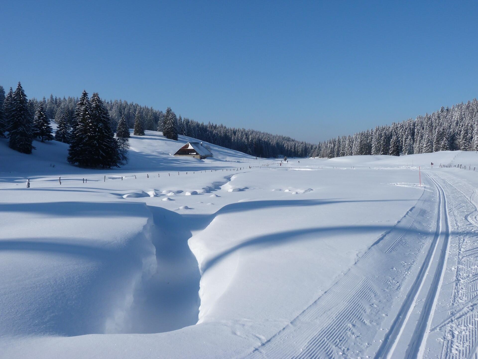 Combe du Haut Doubs   Ⓒ  Yves Marechal