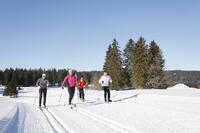 Espaces partagés Espaces partagés